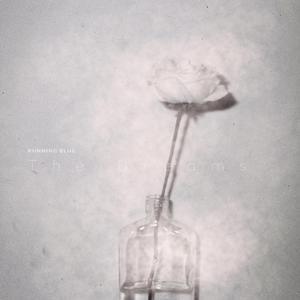 懒猫漫画免费浏览入口网页版
