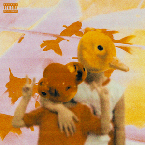 懒猫漫画免费浏览入口网页版
