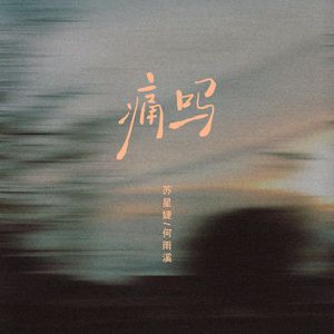 懒猫漫画免费浏览入口网页版
