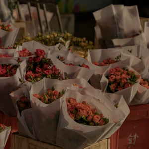 懒猫漫画免费浏览入口网页版
