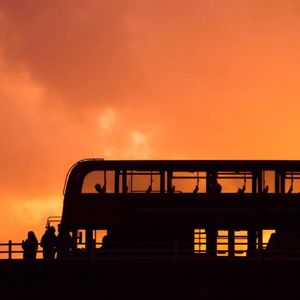 懒猫漫画免费浏览入口网页版
