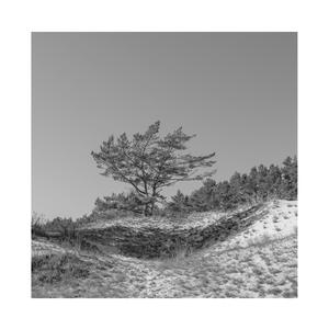 懒猫漫画免费浏览入口网页版
